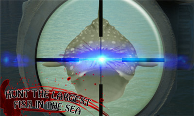 ѓŭL(Angry Whale Shark Sniper Shoot)؈D3