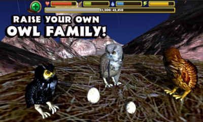 èͷӥģ(owl simulator)ͼ1