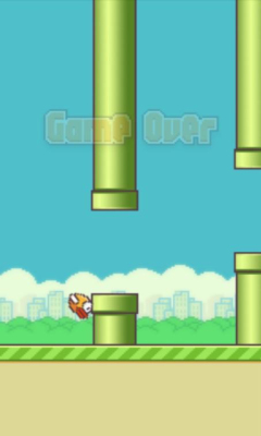 B(flappy bird)؈D3