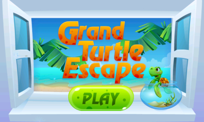 󺣹(Grand Turtle Escape)ͼ0