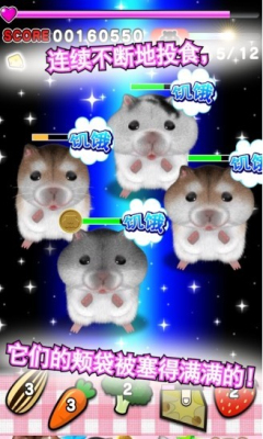 Ĳ(hamster)ͼ2