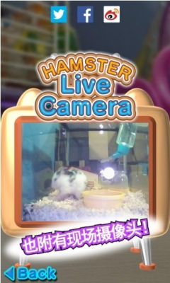 IĂ}(cng)(hamster)؈D4