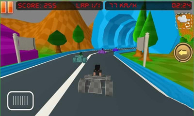 ܇ِ(pixel car racing)؈D1