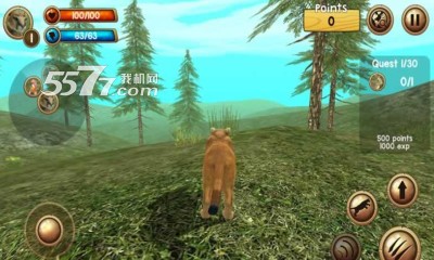 Ұʨģ(ģ)Wild Cougar Sim 3Dͼ1