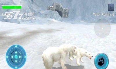 OģM(ģM)Arctic Bear؈D1