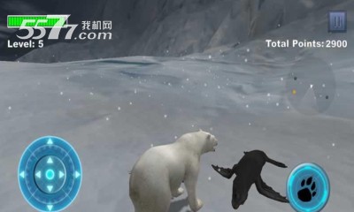 OģM(ģM)Arctic Bear؈D2