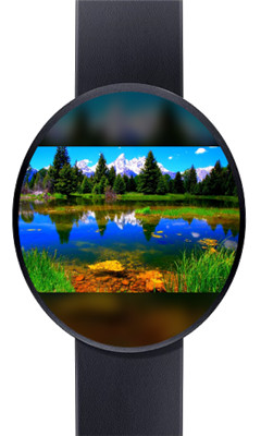 ׿ֱ(Photo Gallery for Android Wear)ͼ1