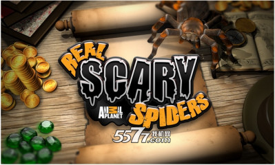 ֩(⶯)Real Scary Spidersͼ0