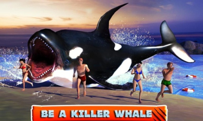 3Dɱ־̲(ģ)killer whale beach attack 3dͼ0
