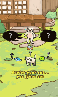 Cat Evolution World(èĽ(ؿζ))ͼ1