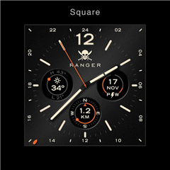 ҹֱ(Ranger Military Watch Face)ͼ4