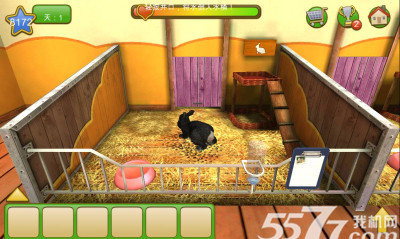 PetWorld LITE3DҵĶԮ(Ԯ)ͼ2