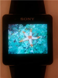 ֱg[(SmartWatch Gallery)؈D2