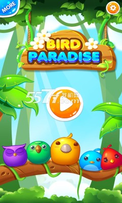 BBird Paradise(l(wi))؈D0