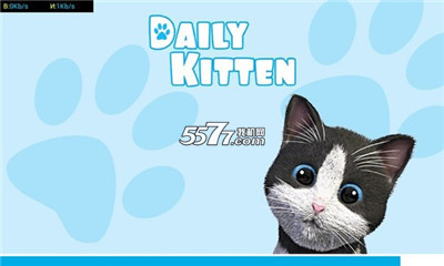 èС()Daily Kittenͼ0