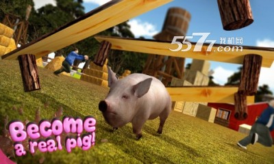 Сģ()Pig Simulatorͼ1