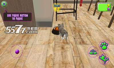 ĳè3D(ģ)cat frenzy 3dͼ1