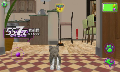 ĳè3D(ģ)cat frenzy 3dͼ2