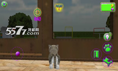 ĳè3D(ģ)cat frenzy 3dͼ3