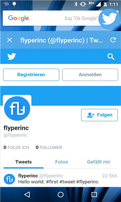 Flyperlink(С)ͼ1