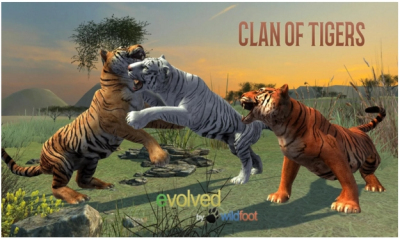 (ģ)Clan of Tigersͼ0