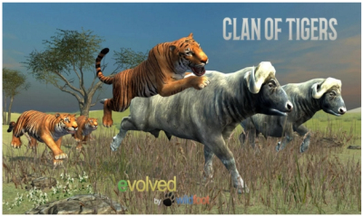 (ģ)Clan of Tigersͼ1