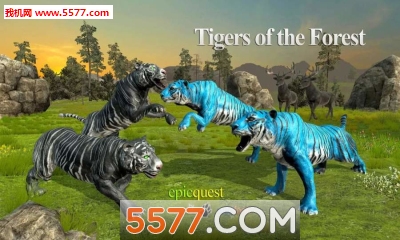 ɭ֮(ϻģ)Tigers of the Forestͼ2