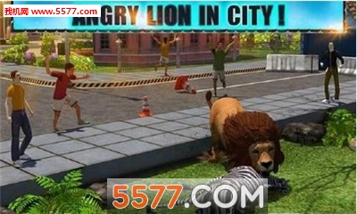 Angry Lion Attack 3D(ʨ(ʨģ))ͼ0