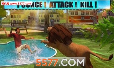 Angry Lion Attack 3D(ʨ(ʨģ))ͼ1