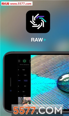 RAW+ͼ2