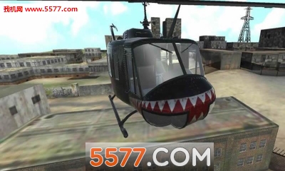 ֱC(j)wӖ(xn)(ģMw)helicopter trainig؈D2