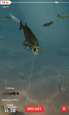 ְҵ:ÿղ(ʵ)rapala daily catchͼ1