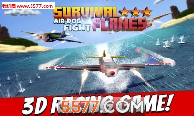 wC(j)(w)Survival Planes Air Dog Fight؈D0