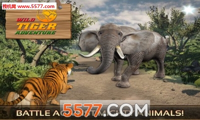 Ұð(ɱ)wild tiger adventure 3dͼ0