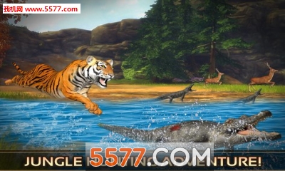 Ұð(ɱ)wild tiger adventure 3dͼ1