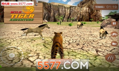 Ұð(ɱ)wild tiger adventure 3dͼ2