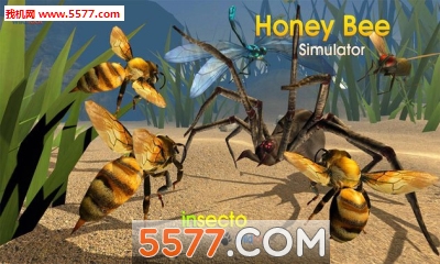 ۷ģ°(ģ)Honey Bee Simulatorͼ1