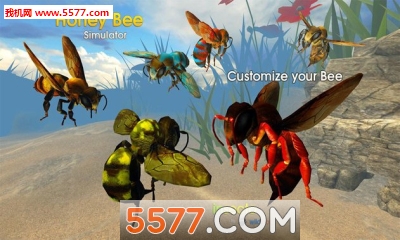 ۷ģ°(ģ)Honey Bee Simulatorͼ2