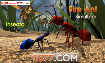 ģ°Fire Ant Simulatorͼ0