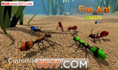 ģ°Fire Ant Simulatorͼ1