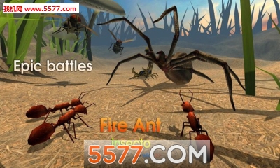 ģ°Fire Ant Simulatorͼ2