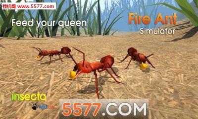 ģ°Fire Ant Simulatorͼ3