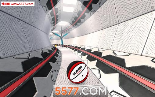 Lӵ3D°Basketroll 3D: Rolling ball؈D2