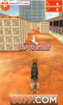 ˹(ģ)crazy dog surfer - endless runͼ1