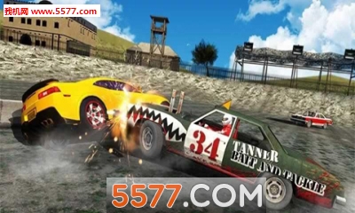 ײ(du)Q(ِ܇ײ)Whirlpool Car Derby 3D؈D1