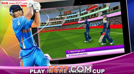 t20܊3D(籭)t20 cricket champions 3d؈D1