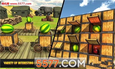 Watermelon Shooting Game 3d(Ϸ3d׿)ͼ2