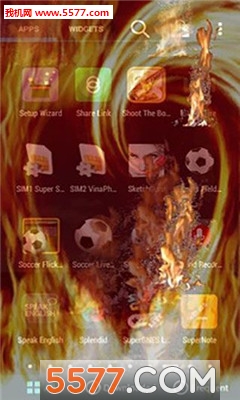 Fire ScreenĻ؈D1