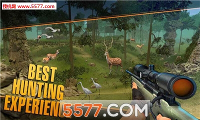 Deer Hunting Sniper Safari - Animals Hunt(¹Ծѻְ׿)ͼ0
