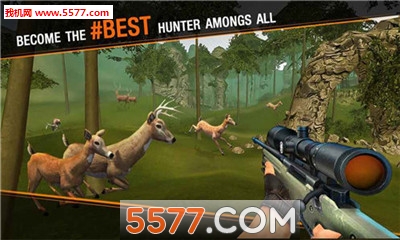 Deer Hunting Sniper Safari - Animals Hunt(¹Ծѻְ׿)ͼ1